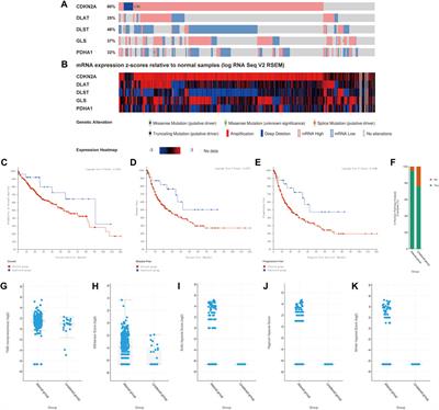 Comprehensive analysis of cuproptosis-related prognostic gene signature and tumor immune microenvironment in HCC